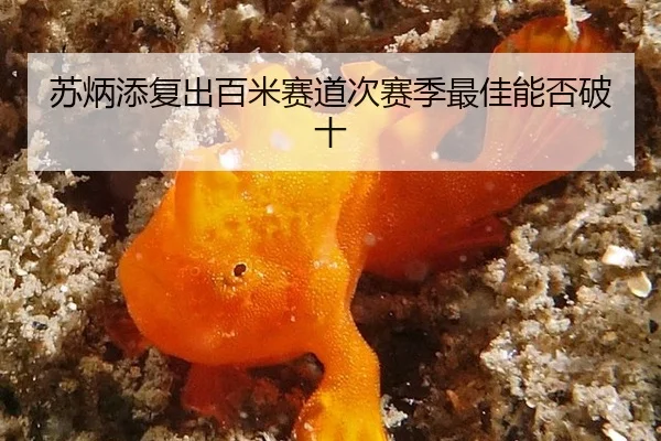 su-bing-tian-fu-chu-bai-mi-sai-dao-ci-sai-ji-zui-jia-neng-fou-po-shi-2-408.jpg