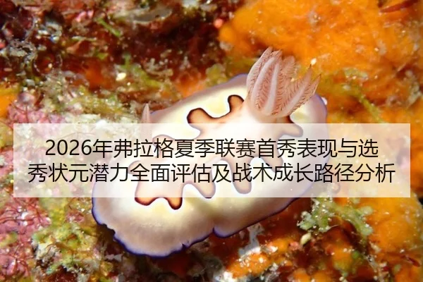 2026年弗拉格夏季联赛首秀表现与选秀状元潜力全面评估及战术成长路径分析