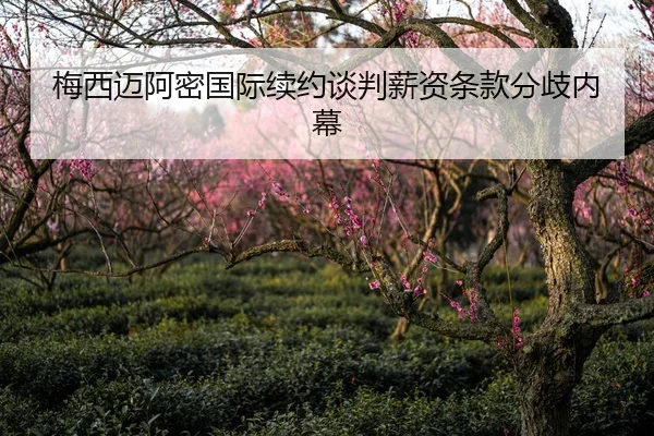 mei-xi-mai-a-mi-guo-ji-xu-yue-tan-pan-xin-zi-tiao-kuan-fen-qi-nei-mu-2-395.jpg