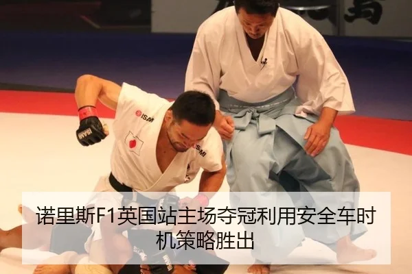 nuo-li-si-ying-guo-zhan-zhu-chang-duo-guan-li-yong-an-quan-che-shi-ji-ce-lve-sheng-chu-2-478.jpg