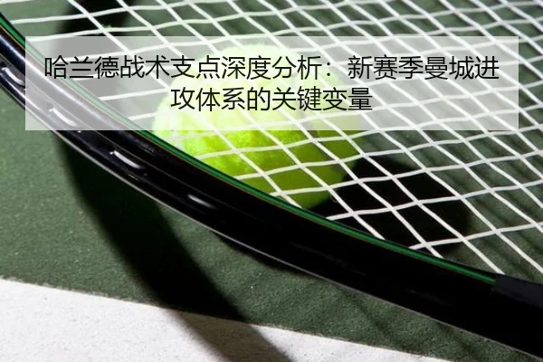 ha-lan-de-zhan-shu-zhi-dian-shen-du-fen-xi-xin-sai-ji-man-cheng-jin-gong-ti-xi-de-guan-jian-bian-liang-3-381.jpg
